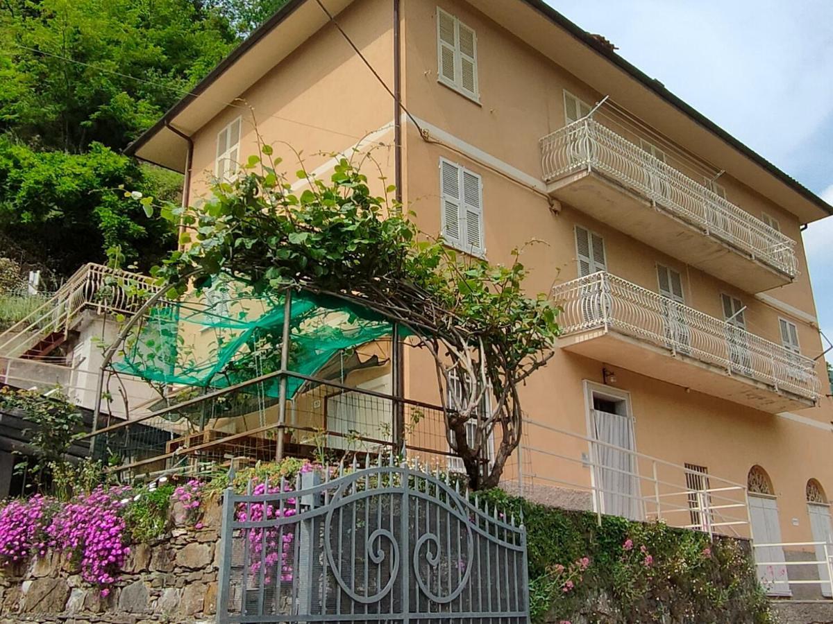 Cà di Nonni Apartment Chiesanuova  Ngoại thất bức ảnh